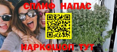 Альфа ПВП Будённовск