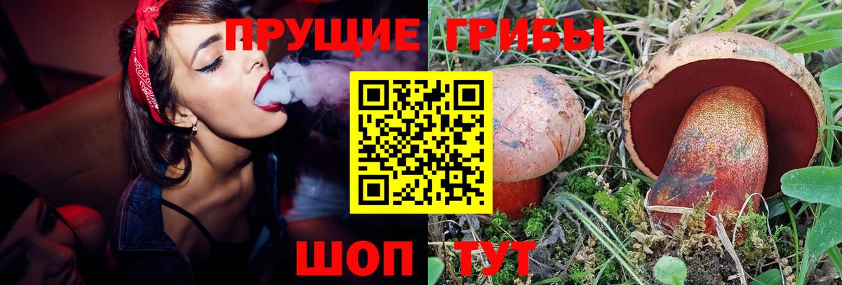 Псилоцибиновые грибы мицелий Пермь