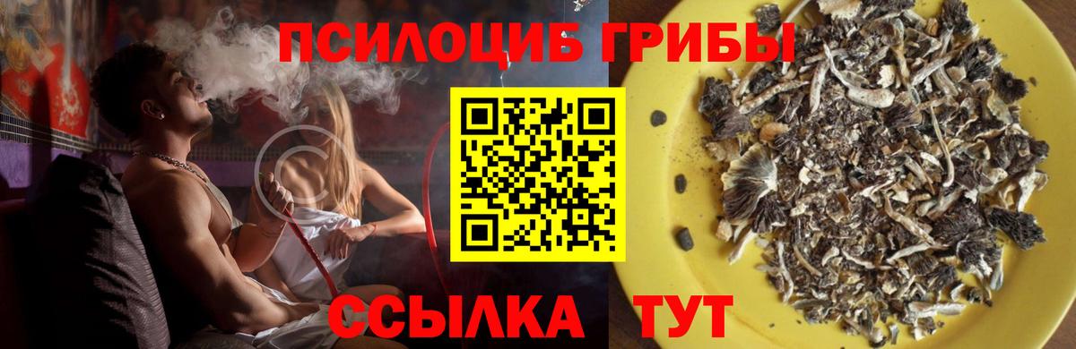 как найти наркотики  Вход с VPN  Пермь  Псилоцибиновые грибы Magic Shrooms 